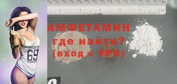 гидра Богородицк