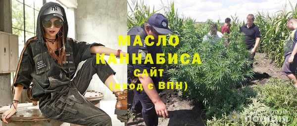гидра Богородицк