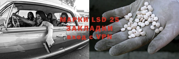 гидра Богородицк