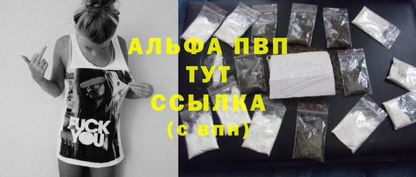 гидра Богородицк