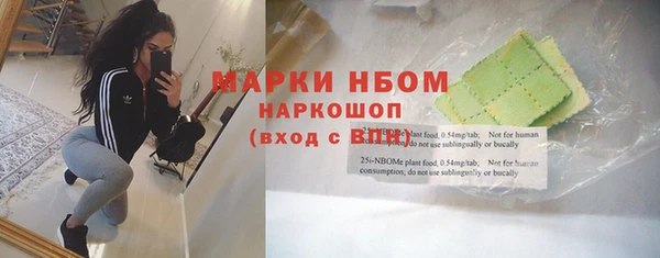 гидра Богородицк