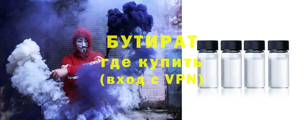 гидра Богородицк