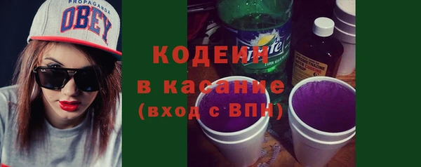 гидра Богородицк