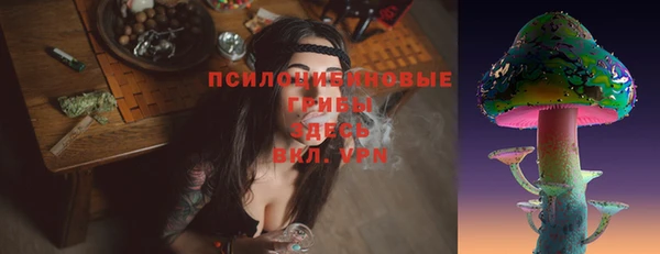 гидра Богородицк