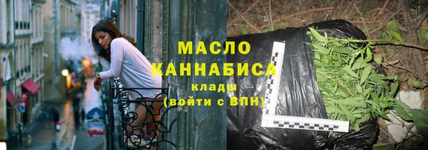 гидра Богородицк