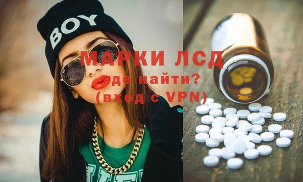 гидра Богородицк