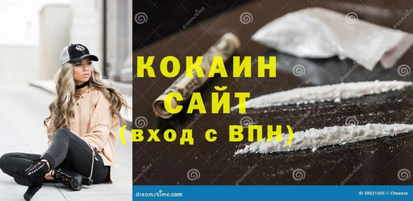 гидра Богородицк
