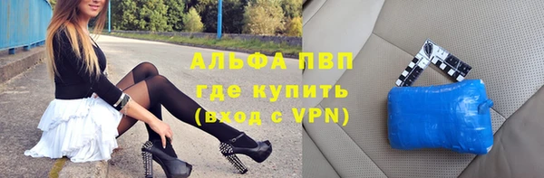 гидра Богородицк