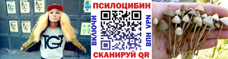Галлюциногенные грибы Magic Shrooms  наркотики  мега ссылка  Сковородино 